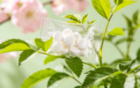 春季养肝正当时：白芍配方颗粒，藏着中医的春日调理智慧