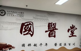 弘扬中医最美医师——袁振兴